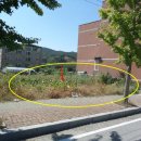 상업용 88 이미지