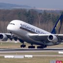 다문화행정사사무소 이미지