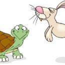 토끼와거북이2 이미지