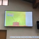 크린빛
