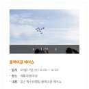 독수리 태권도 | 2025 계룡군문화축제 지상군페스티벌 완벽 가이드 블랙이글스 에어쇼 가수 라인업 체험 정리 9월 축제