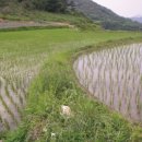 비움과 채움 이미지