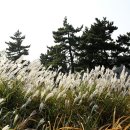 바우길 9구간 이미지