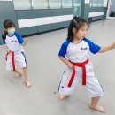 행복한부부태권도장 이미지