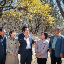 시장건재 이미지