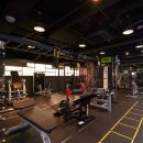 핏플러스 제임스 피트니스 이미지