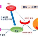 자이언트헬스 이미지