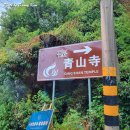 청산사