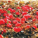 동백체육관 이미지