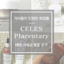 셀레스잇