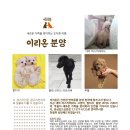 이리온 동물병원 이미지
