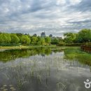 한밭수목원 이미지