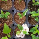 한농농자재 이미지