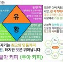 유황커피