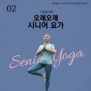 시니어 요가 | 몸과 마음이 풀리는시간~! 시니어 실버 요가. 12회차 훈훈한 변화. 전남 바우처