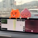 빨간등대 | 오이도 난전시장 애견동반 후기｜빨간등대 주차 + 가성비 해산물 먹방