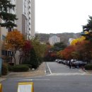 이문44 이미지