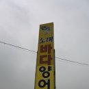 소래바다낚시터 | 소래바다낚시터 새단장 방문 후기!