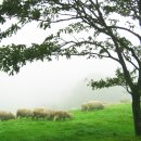 월평종합사회복지관 이미지