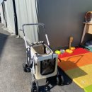 티에스켄넬 | Bello 벨로 분리형 강아지 유모차 (개모차) 중형견 강추! 웰시코기 리얼 후기