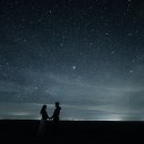 모스디자인주 이미지
