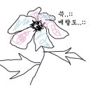 석진이네 이미지