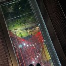 도쿄의 밤을 한눈에,도쿄타워 탑 데크 투어와 야경 후기