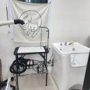 싸다구펫 이미지