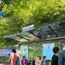 석왕사 - 928 | 부처님 오신 날 부천 석왕사 다녀온 후기 나눔 장터