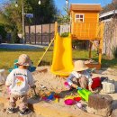 디로버스테이 이미지