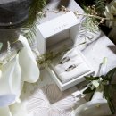 더스타일 | [결혼식 내돈내산 후기] 더컨벤션 반포 예식- 에밀리아스타일 본식 스냅 추천