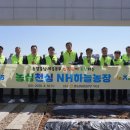 하늘농장8 이미지