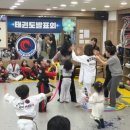 용인대 현대 태권도 이미지