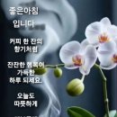 건행 - 용인시 기흥구 죽전로 10 | 건행