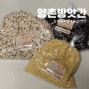 대전 도마시장 방앗간 믿고 찾게 되는 양촌방앗간 후기