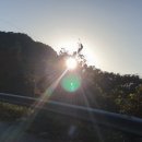 사푼하다