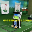 대우트럼프스크린골프 이미지