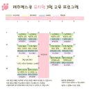 제주펫스쿨 이미지