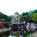 와우정사 이미지