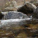 두영농장 이미지