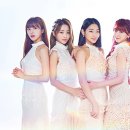 마카마카 카카오 검색결과