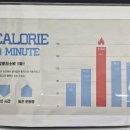해성 스포츠 클럽 | 선릉 스쿼시 추천! 서울스쿼시 선릉점에서 운동하고 땀 흘린 후기