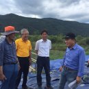 낙동강제방(2) 이미지