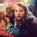 새미래농장 이미지