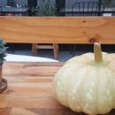 6층성모약국 이미지