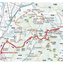 YOLO갈맷길 8코스 이미지