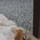 환희왕족발