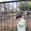 비둘기어린이공원 | 26개월 아기와 다녀온 광진구 서울어린이대공원 후기