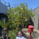 거기벵디 이미지