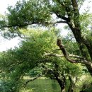 호수와바다 이미지